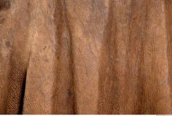 Photo Textures of Leather